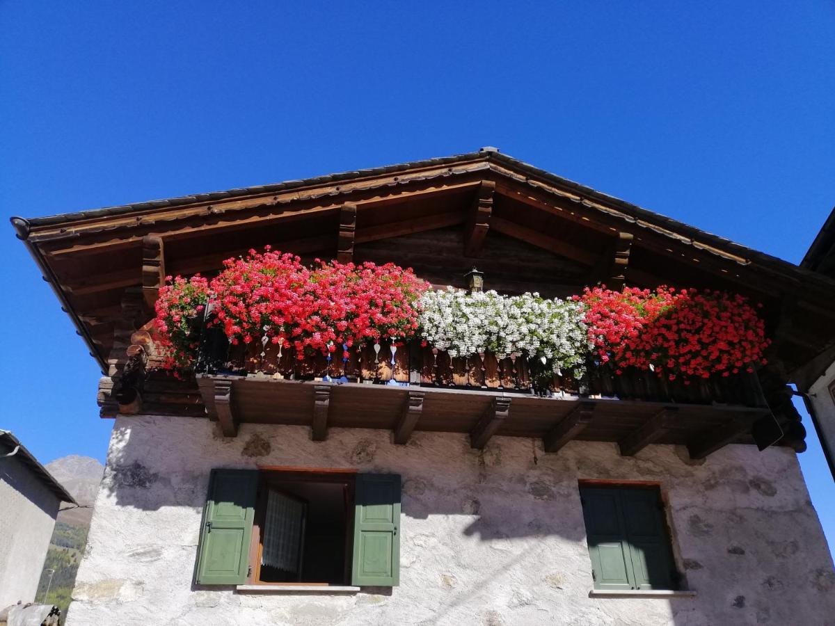 Casa Laura Isolaccia